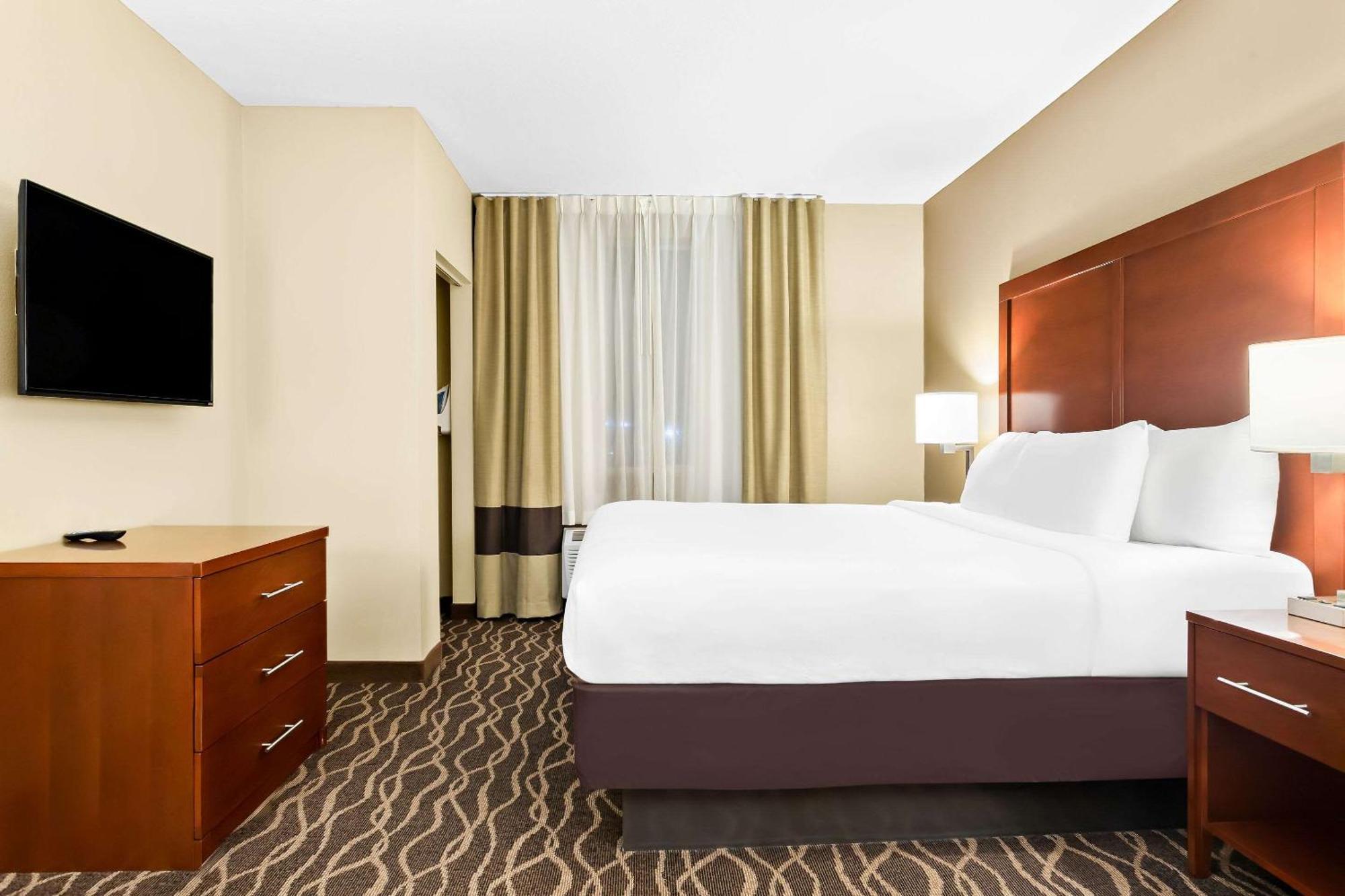 Comfort Suites Tampa Airport North Exterior foto