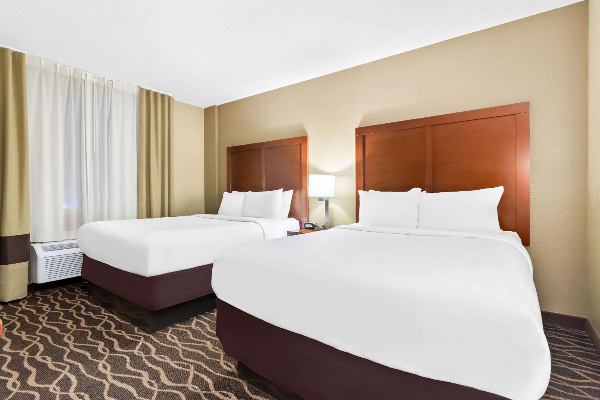 Comfort Suites Tampa Airport North Exterior foto