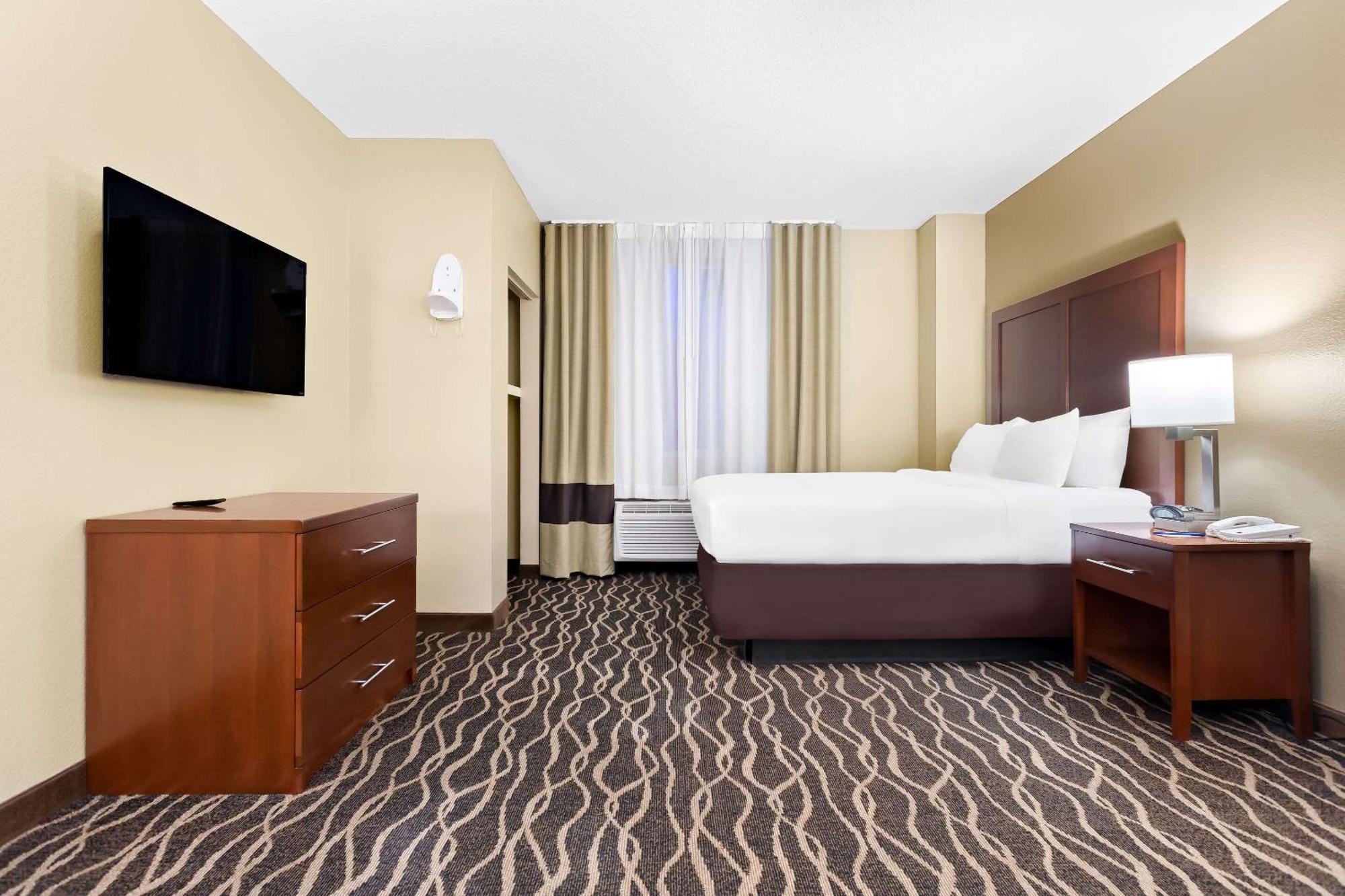 Comfort Suites Tampa Airport North Exterior foto