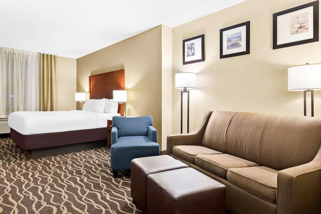 Comfort Suites Tampa Airport North Quarto foto