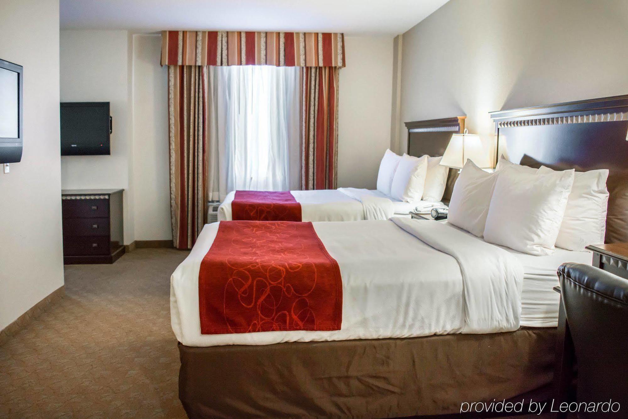 Comfort Suites Tampa Airport North Exterior foto